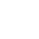 Apple store icon