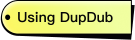 Using DupDub